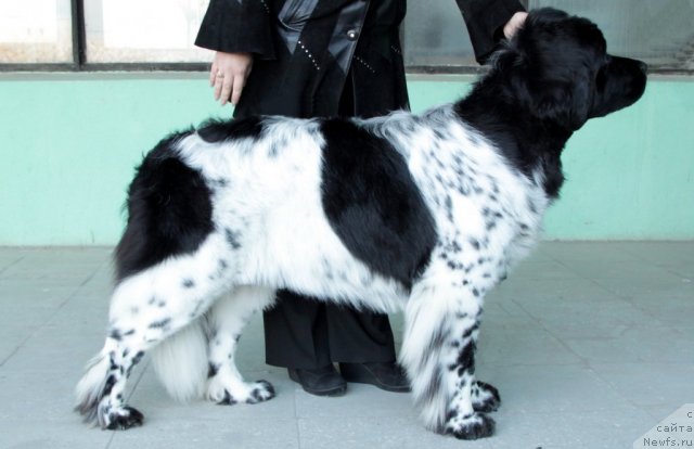 Фотография № 53173