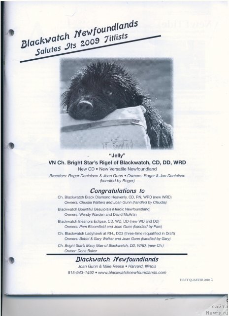 Фотография № 53236