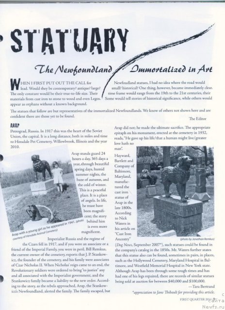 Фотография № 53243