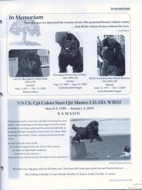 Фотография № 53255