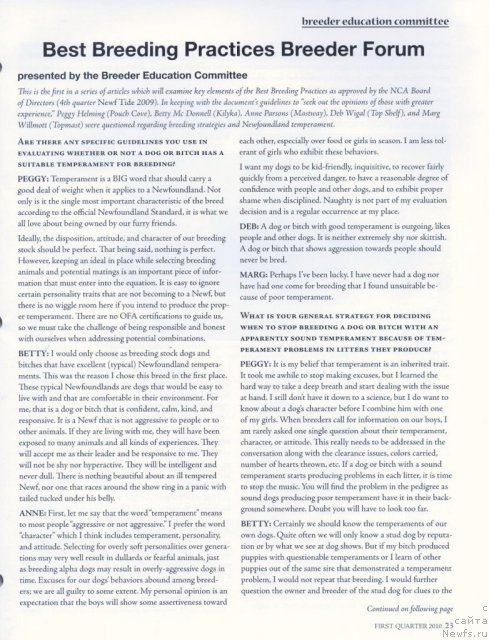 Фотография № 53258