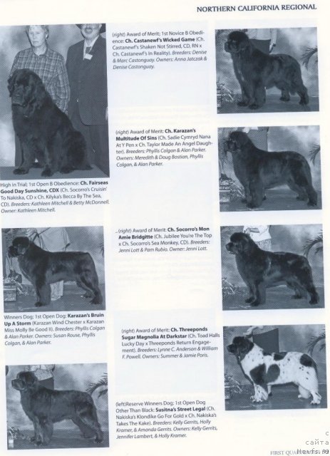 Фотография № 53298