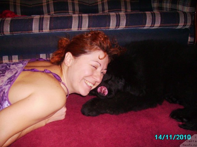 Фото: Ирина Нистратова, ньюфаундленд Их Высочество Владлена Маджикс