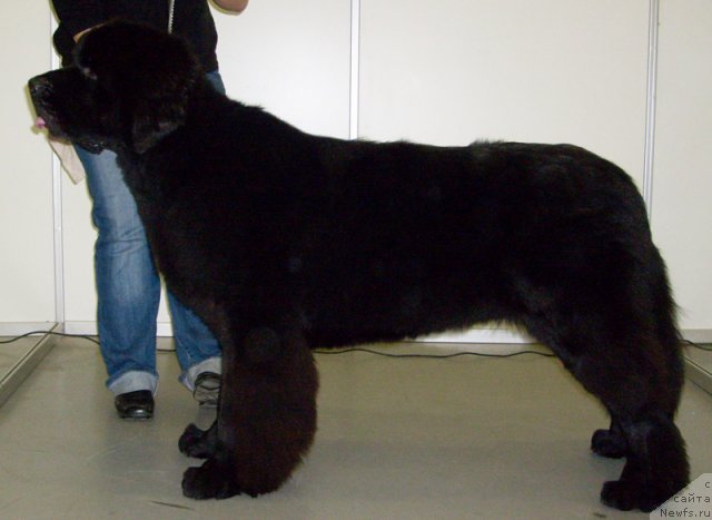 Фотография № 53321