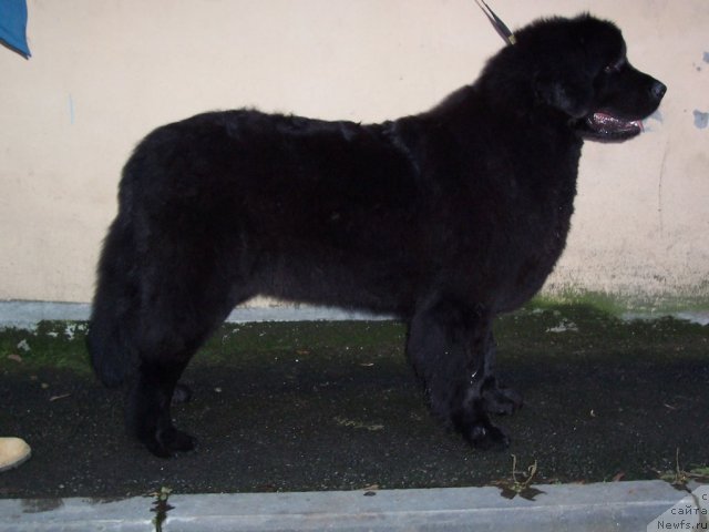 Фотография № 53327