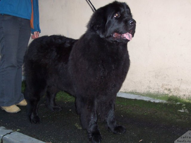 Фотография № 53328