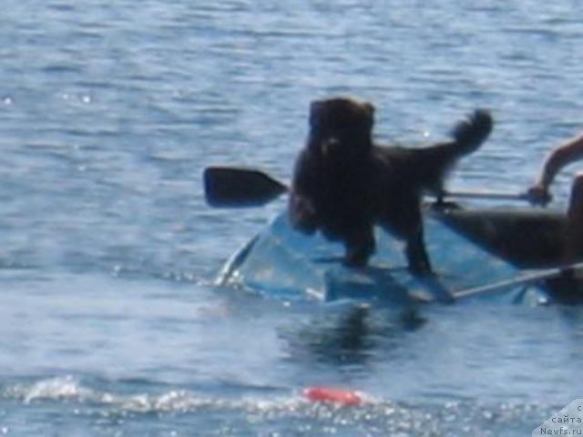 Фотография № 53341