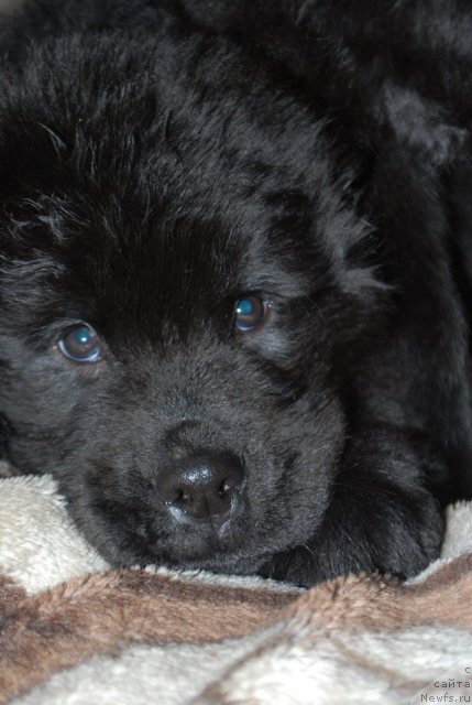 Фото: Наталья Смирнова