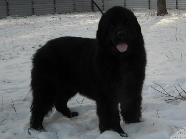 Фотография № 53376