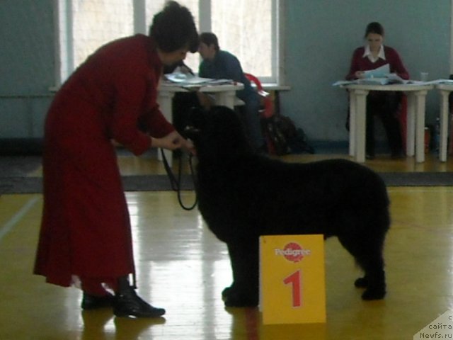 Фотография № 53377