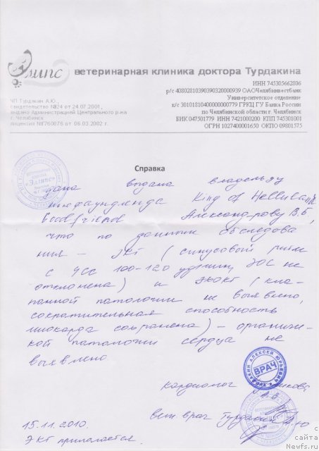 Фото: ньюфаундленд King of Helluland Good Friend