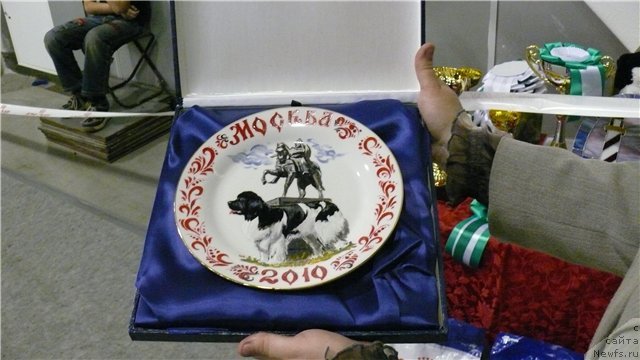 Фотография № 53406