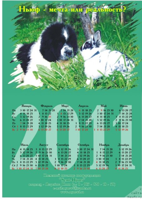 Фотография № 53408