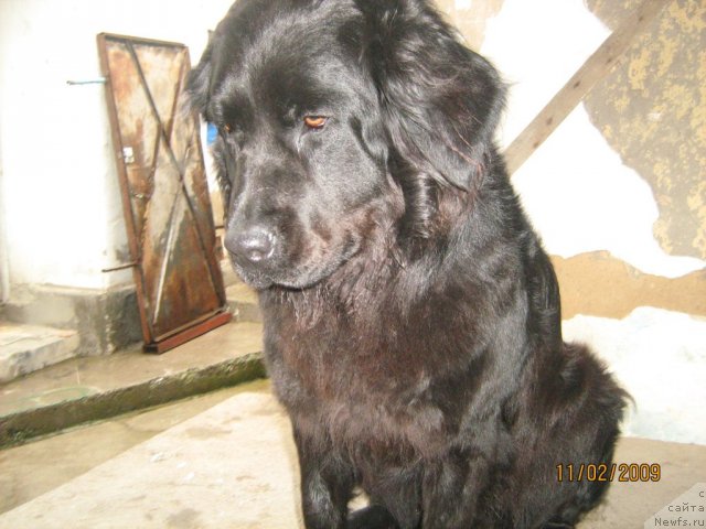 Фото: наша Терюська