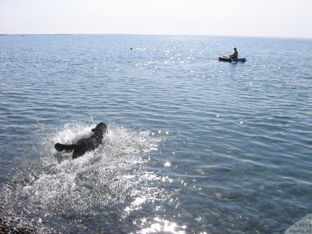 Фотография № 53445