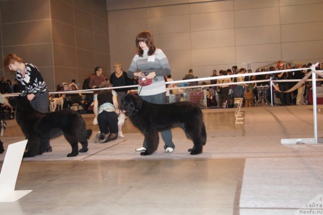 Фотография № 53451