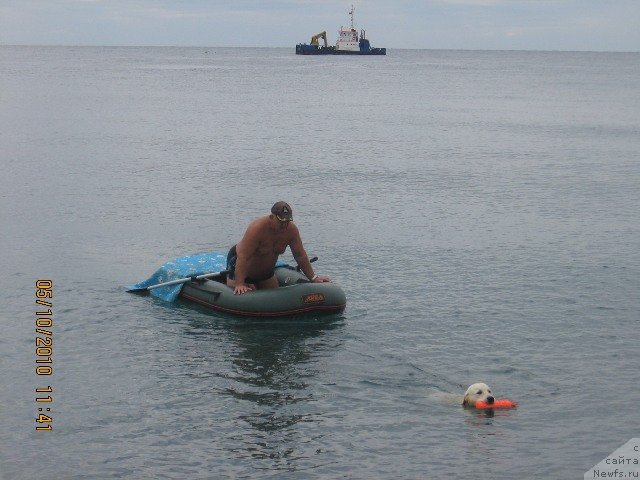 Фотография № 53457