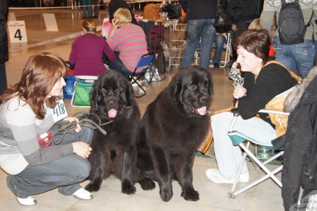 Фотография № 53459