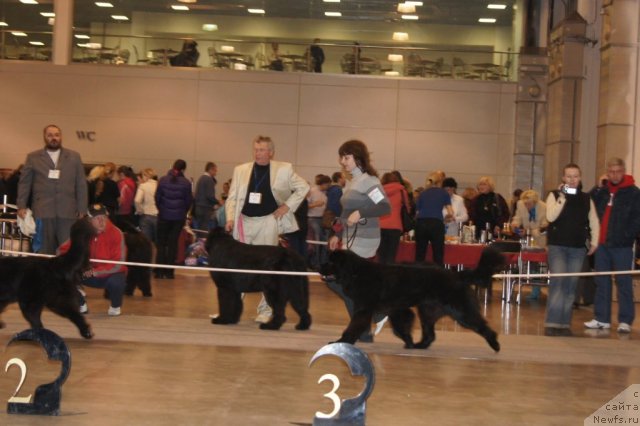 Фотография № 53460