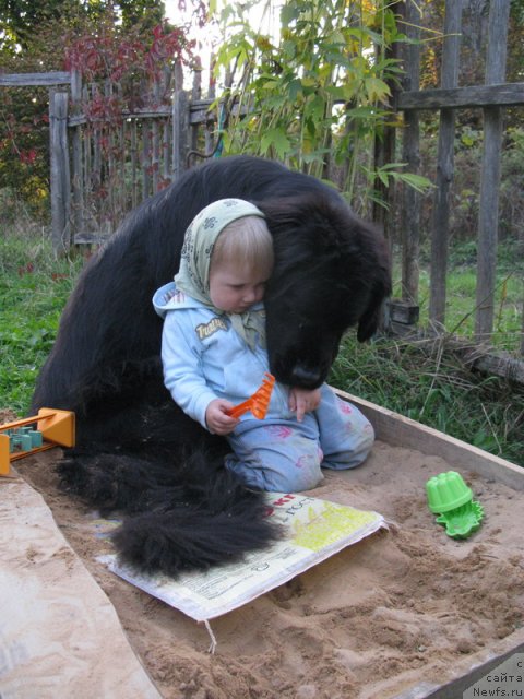 Фотография № 53465