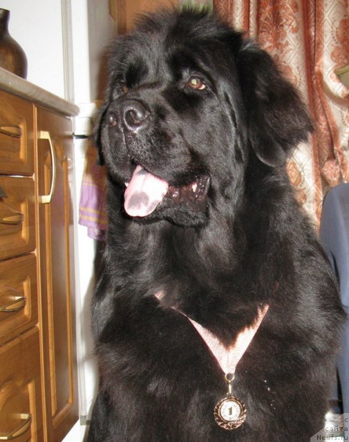 Фотография № 53472