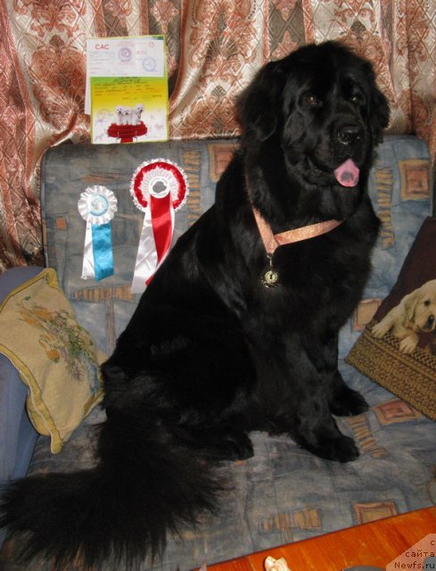 Фотография № 53473