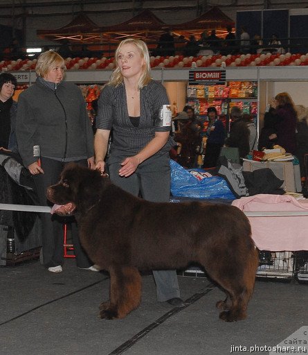 Фото: EMBER EYES DE L'ETOILE DE CYRICE