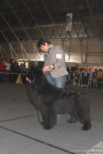 Фотография № 53563