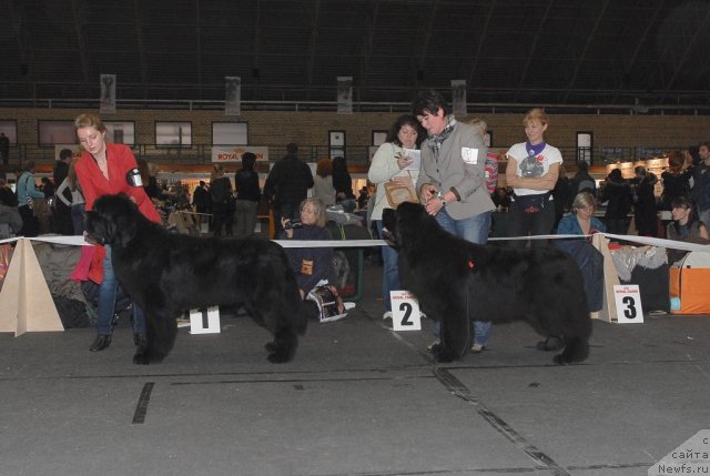 Фотография № 53565