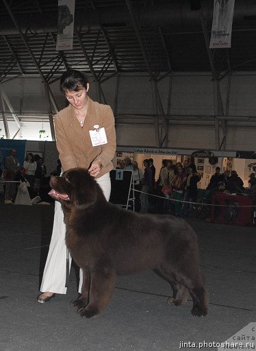 Фотография № 53568