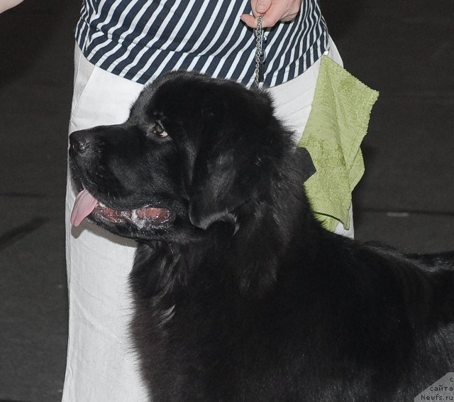 Фотография № 53576