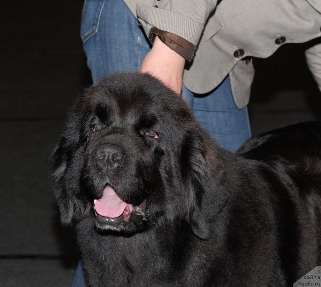 Фотография № 53582