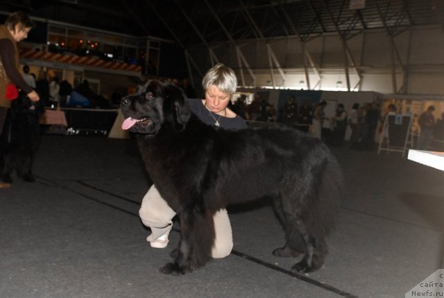 Фотография № 53584