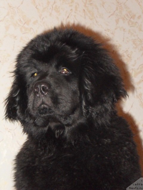 Фотография № 53611