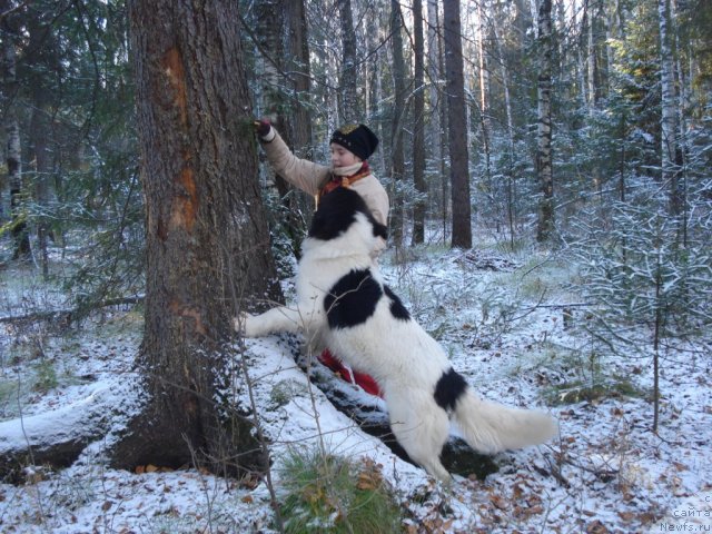 Фото: Бэкки с Отмарова и Крися