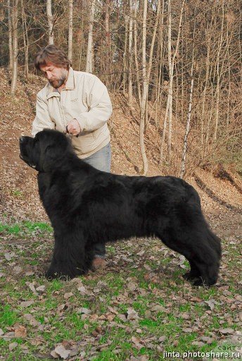 Фотография № 53650