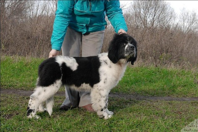 Фотография № 53653