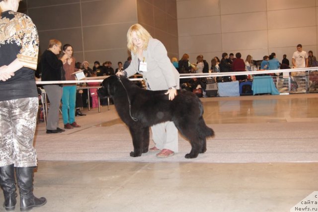 Фотография № 53664