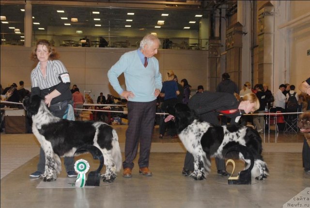 Фотография № 53677