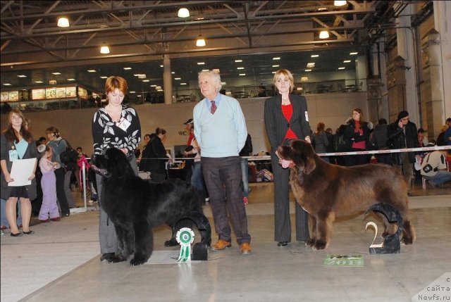 Фотография № 53679