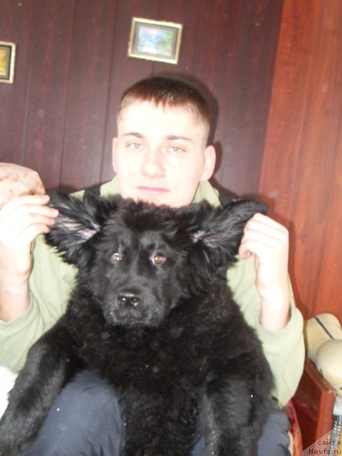 Фотография № 53697