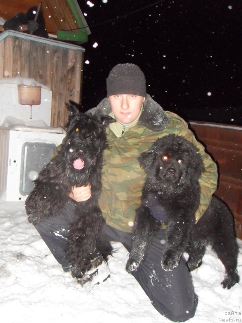 Фотография № 53698