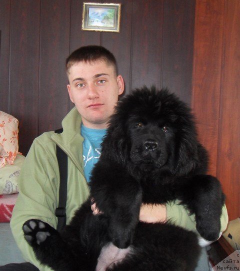 Фотография № 53699