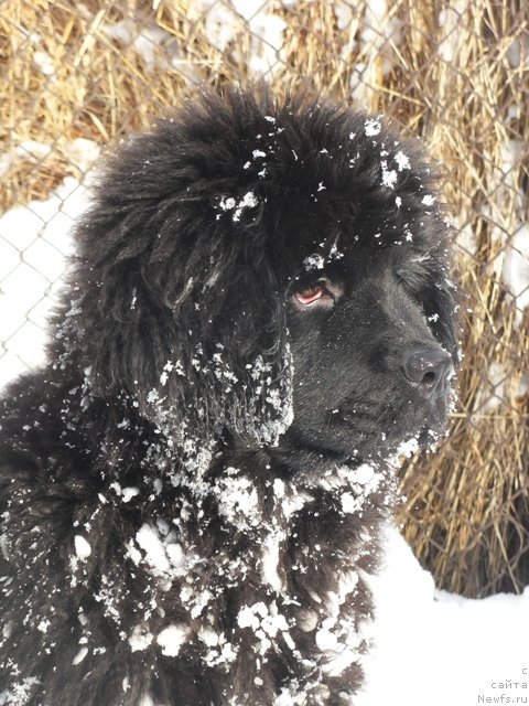 Фотография № 53701