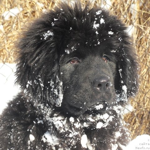 Фотография № 53702