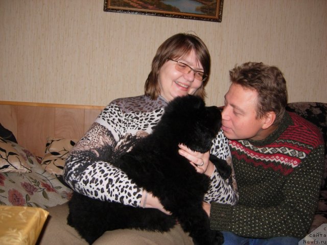 Фото: ньюфаундленд Смигар Галакси Шелл Вин (Smigar Galaxsy Shall Win), Власта Беззубченко, Гоша