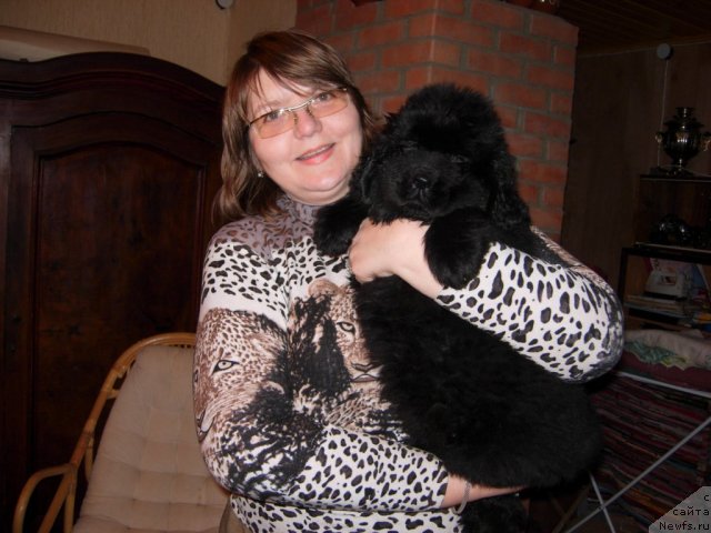 Фотография № 53710