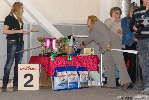 Фотография № 53713