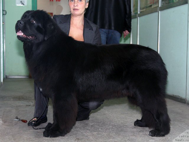 Фотография № 53717