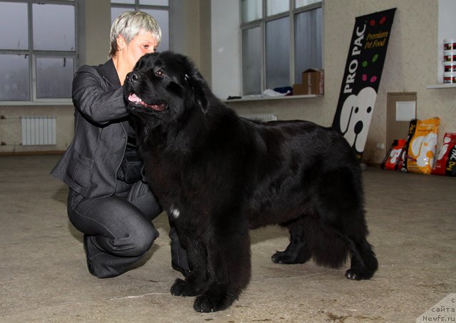 Фотография № 53718